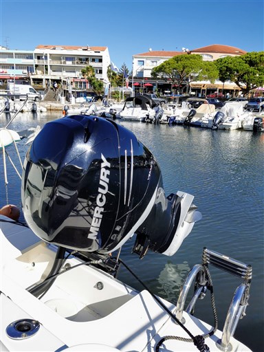 Wellcraft Marine 242 Fisherman 7
