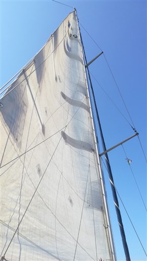 Bavaria Bavaria 39 Cruiser 5