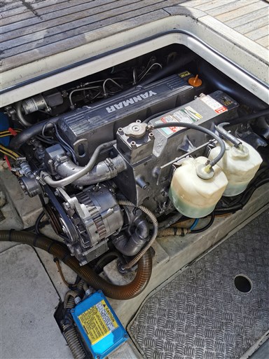 ACM Mistik 39 19
