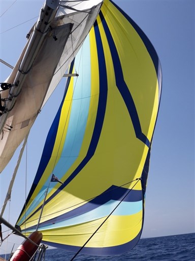 Beneteau SENSE 46 5