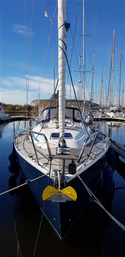 Bavaria Bavaria 37 1
