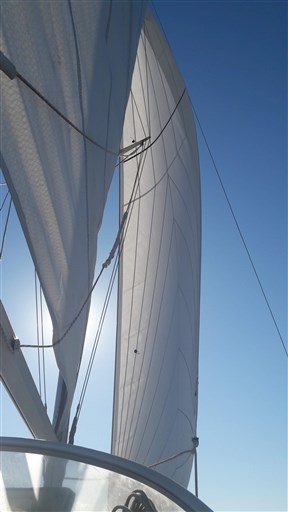Quorning Boats Dragonfly 1000 2