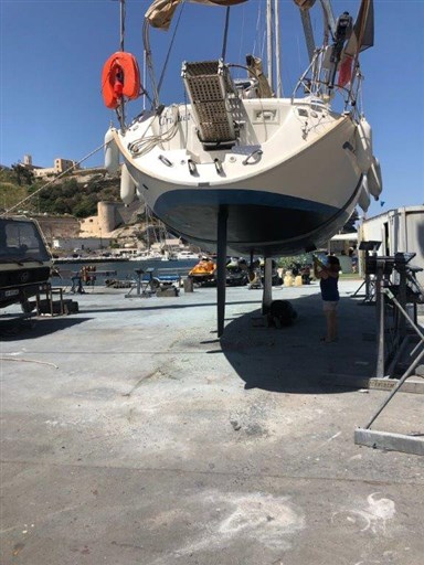 Bavaria Bavaria 37 1
