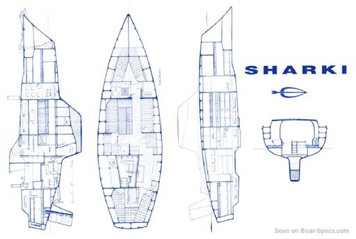 Amel SHARKI 8