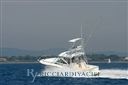 Carolina Classic Classic 32