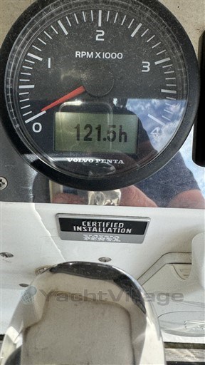 t4svj42im7.jpg