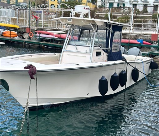 Grady White Boats 306 Bimini Cc