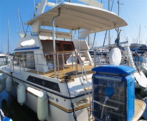 WhatsApp Image 2022-11-03 at 09.13.25.jpeg