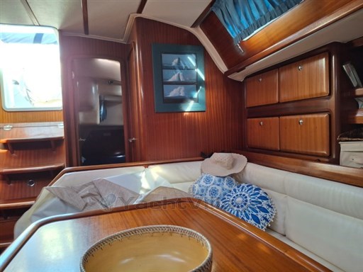 Immagine WhatsApp 2025-11-11 ore 18.34.15_2a19c4d1