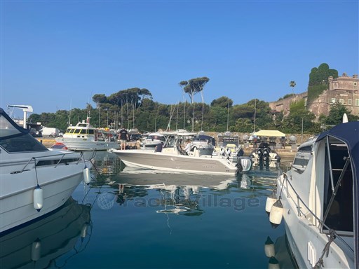 Robalo R 300