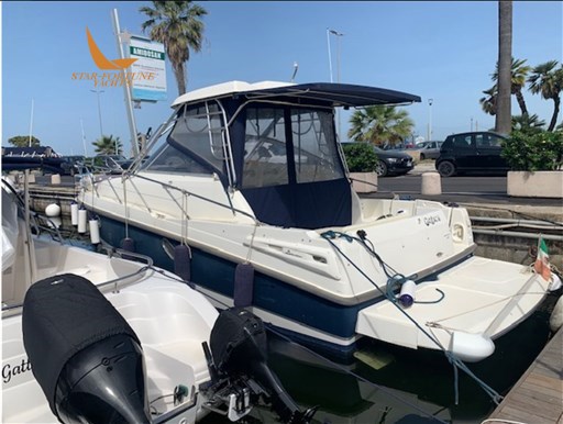 Pelican 5
