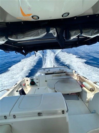 Pelican 4