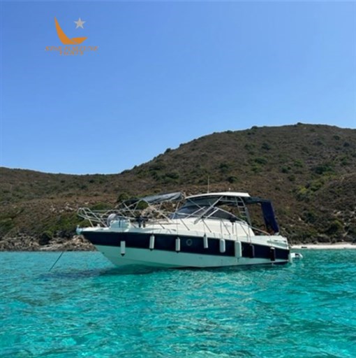 Cranchi Pelican 32