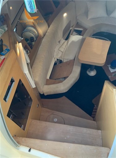 Pelican 11