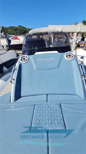 WhatsApp Image 2025-08-31 at 11.52.22