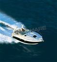 Chaparral Signature 310