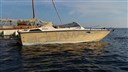 Fiart Mare Super Arrow
