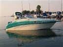 Celebrity Boats Celebrity 245
